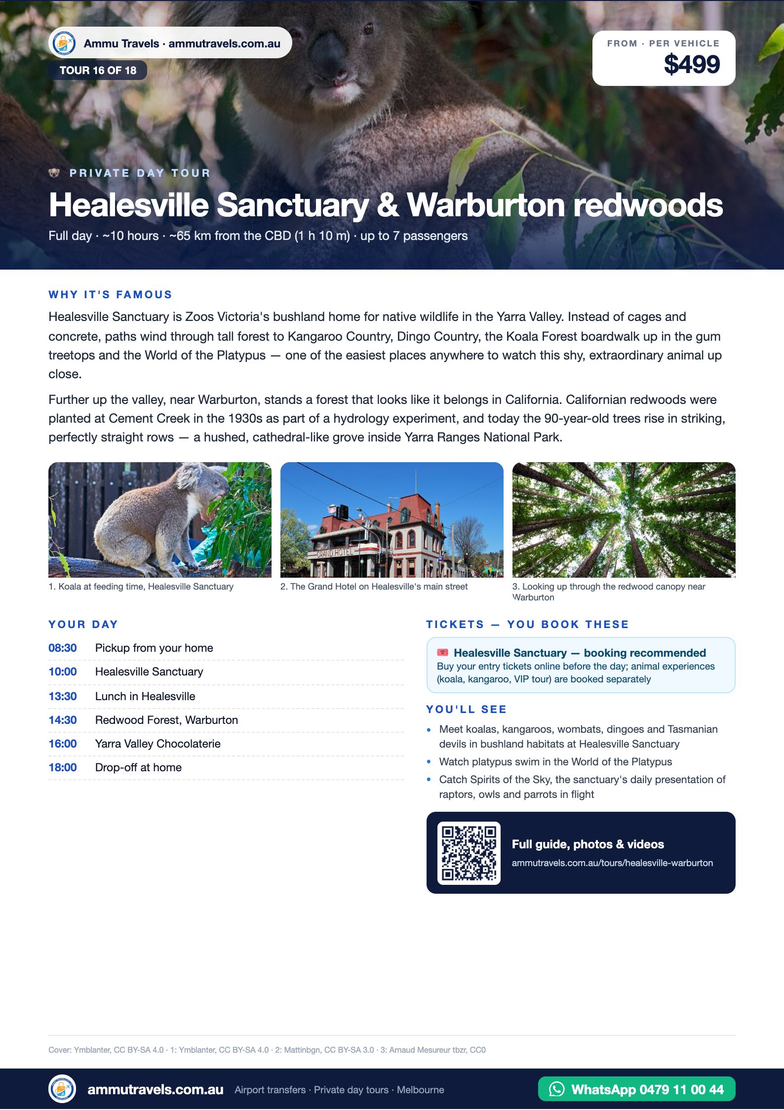 Healesville Sanctuary & Warburton redwoods itinerary