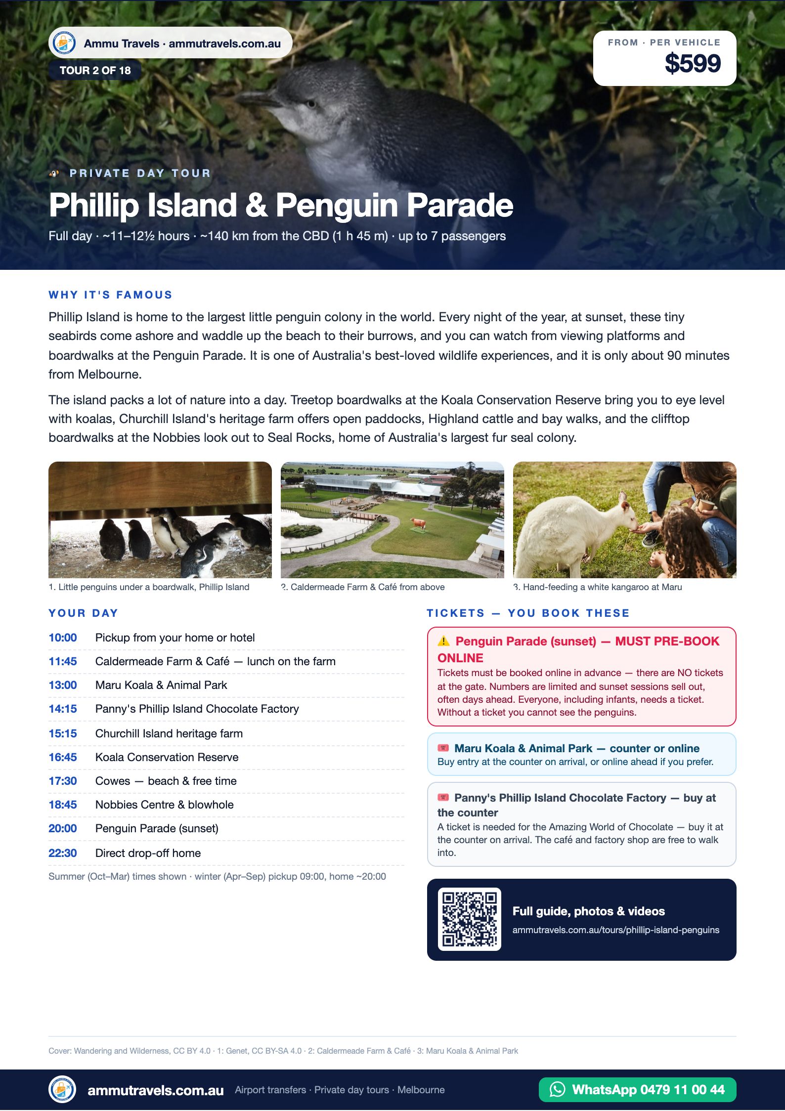 Phillip Island & Penguin Parade itinerary